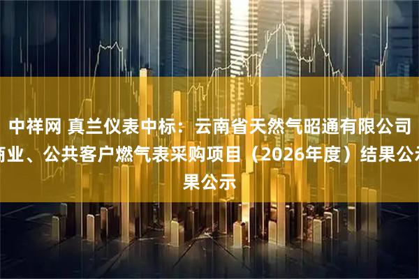 中祥网 真兰仪表中标：云南省天然气昭通有限公司商业、公共客户燃气表采购项目（2026年度）结果公示