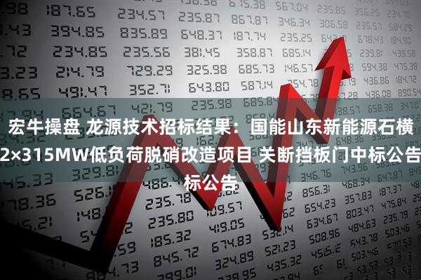 宏牛操盘 龙源技术招标结果：国能山东新能源石横2×315MW低负荷脱硝改造项目 关断挡板门中标公告